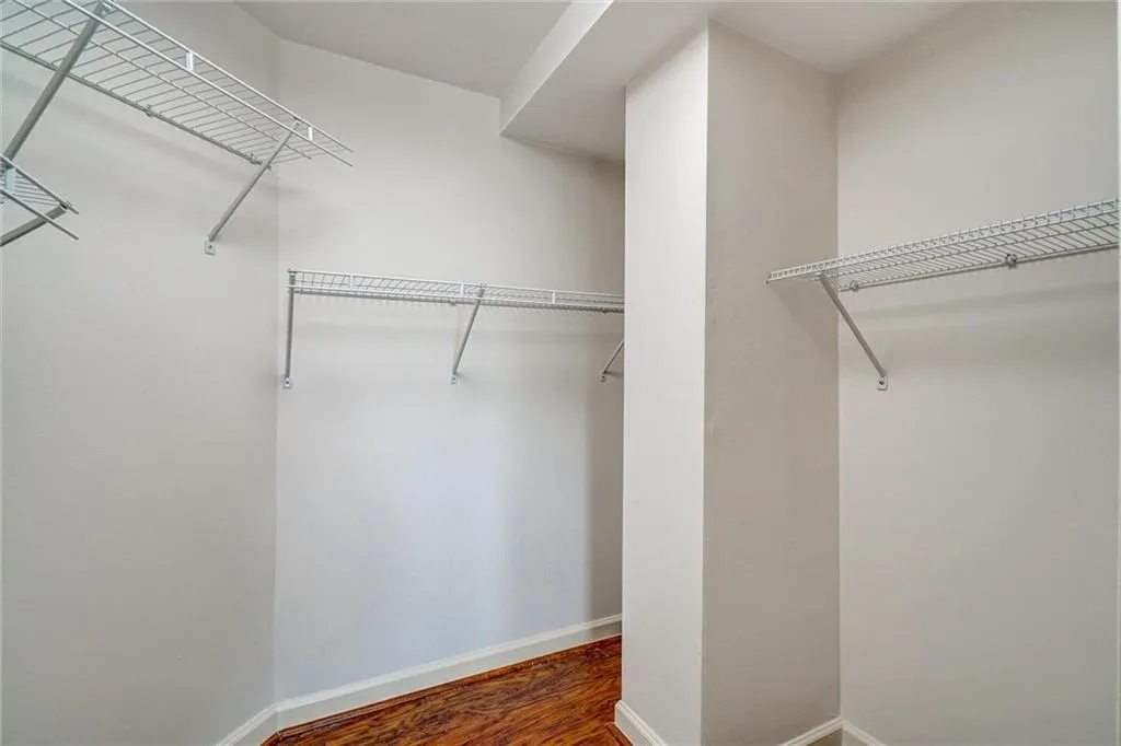 Spacious closet with dark wood-type flooring