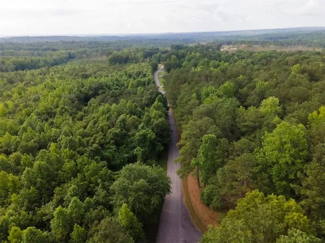 94 Clayton Drive, Waco, Georgia 30110