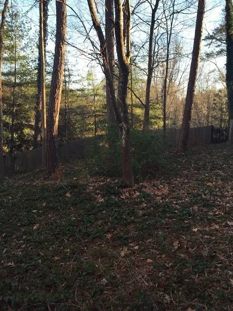 710 S Brighton Court Nw, Atlanta, Georgia 30327, 6 Bedrooms Bedrooms, ,7 BathroomsBathrooms,Residential,Sold,710 S Brighton Court Nw,5819152