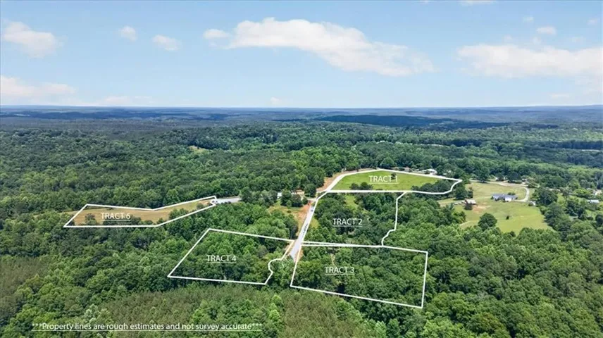 0 Conns Creek Road, Ball Ground, Georgia 30107