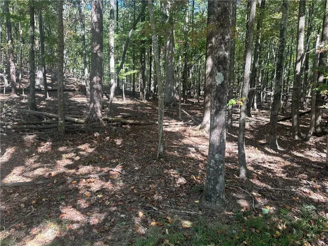 Lt1352 Willow Terrace, Jasper, Georgia 30143