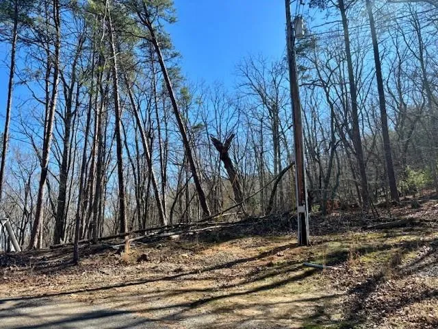 125 Gum Wood Court, Waleska, Georgia 30183