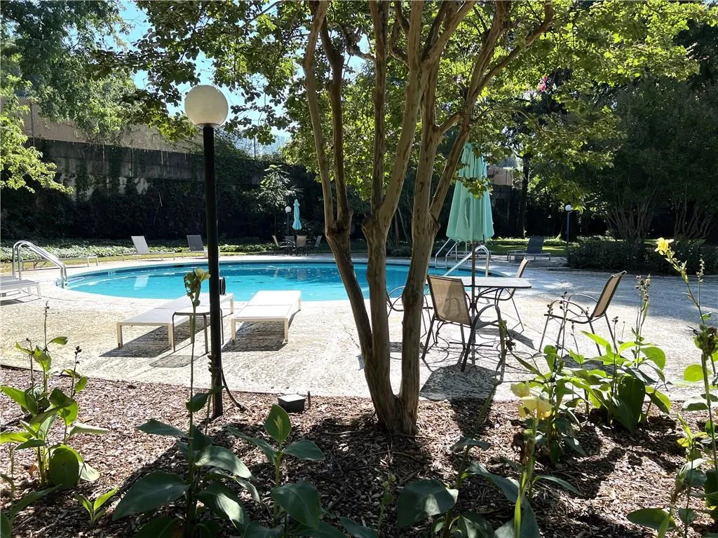 Beautiful pool