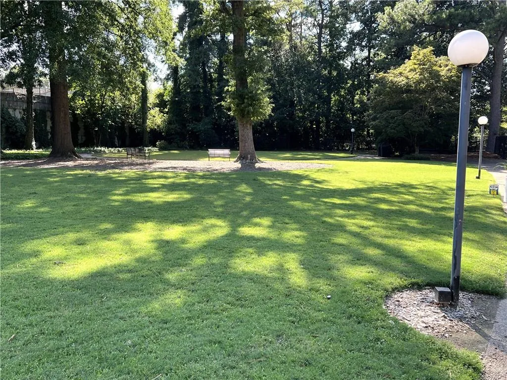 Greenspace to walk or relax
