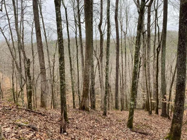 4ac Scenic Way, Ellijay, Georgia 30540