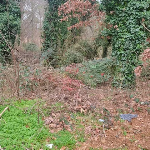 View of nature