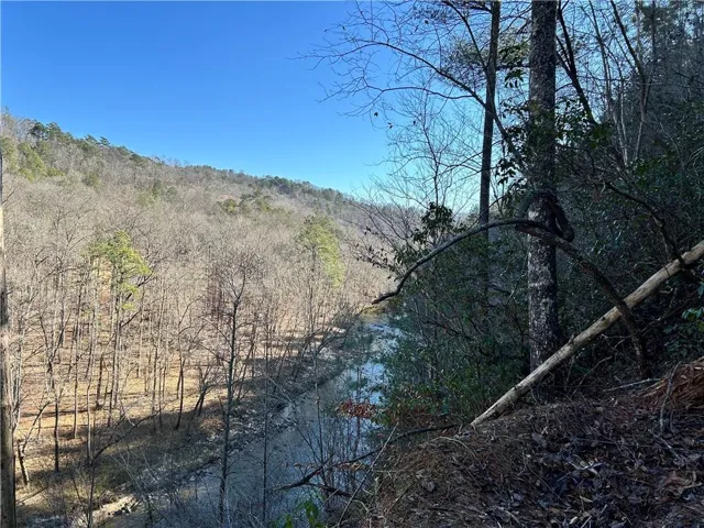 View of the river from the back edge of one of the better building sites.  Some of those trees can be removed and if the back of the home is near here, then the deck can be cantilevered out over the river for an even better view down river.