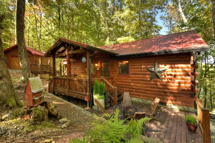 9 Joanna Court, Cherry Log, Georgia 30513