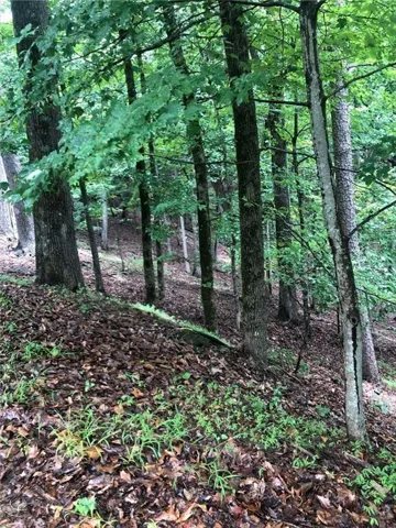 6055 Crested Iris Circle, Jasper, Georgia 30143