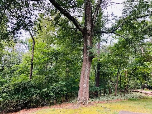 7995 Innsbruck Drive, Sandy Springs, Georgia 30350, 5 Bedrooms Bedrooms, ,4 BathroomsBathrooms,Residential,Sold,7995 Innsbruck Drive,6767656 7995 Innsbruck Drive, Sandy Springs, Georgia 30350, 5 Bedrooms Bedrooms, ,4 BathroomsBathrooms,Residential,Sold,7995 Innsbruck Drive,6767656