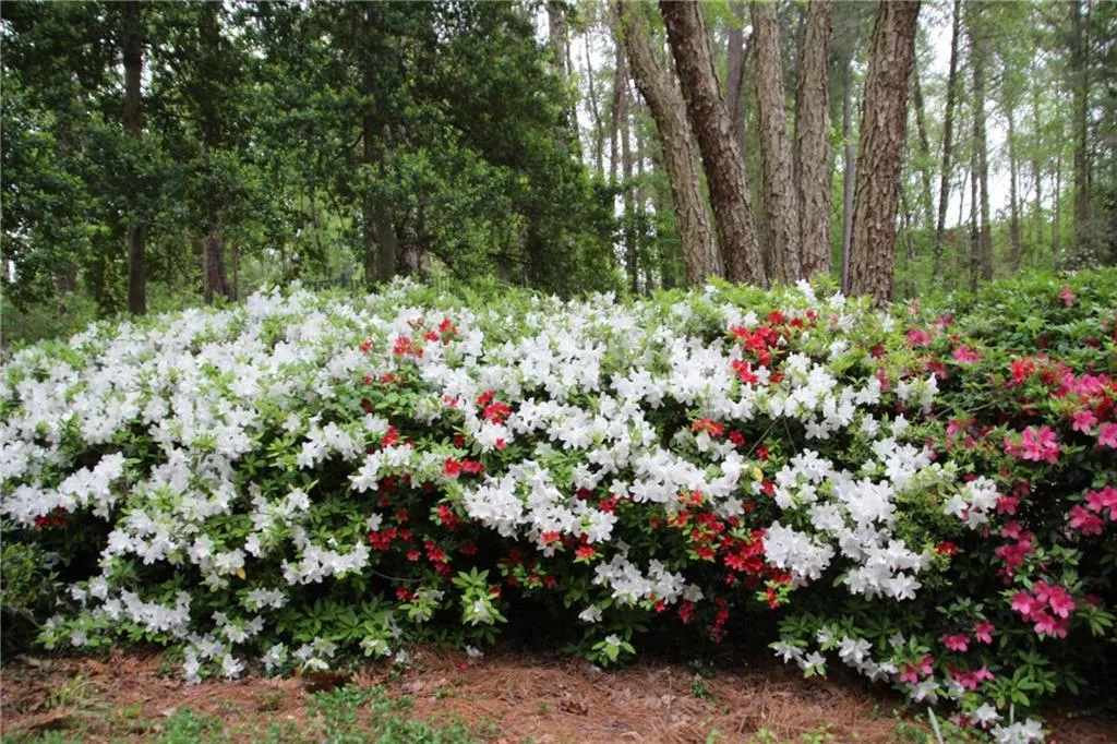 804 Woodcliff Drive Unit 804, Sandy Springs, Georgia 30350, 2 Bedrooms Bedrooms, ,1 BathroomBathrooms,Residential,Sold,804 Woodcliff Drive Unit 804,5674301