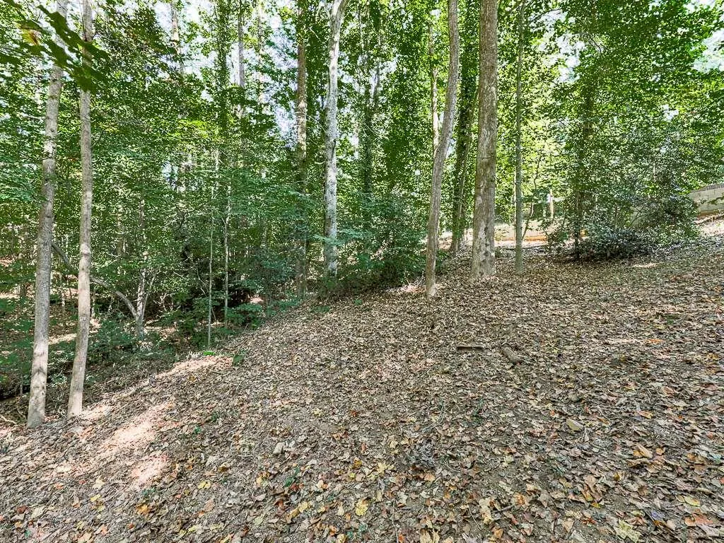 1564 Bubbling Creek Road, Brookhaven, Georgia 30319, 4 Bedrooms Bedrooms, ,3 BathroomsBathrooms,Residential,For Sale,1564 Bubbling Creek Road,7530922