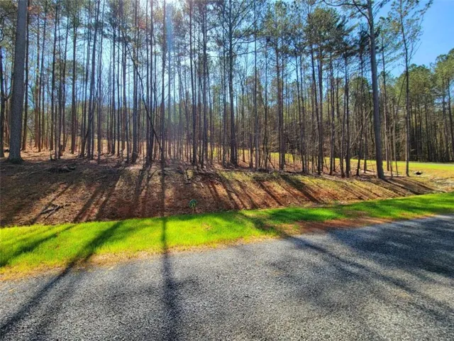 277 Mountaingate Way, Ellijay, Georgia 30536