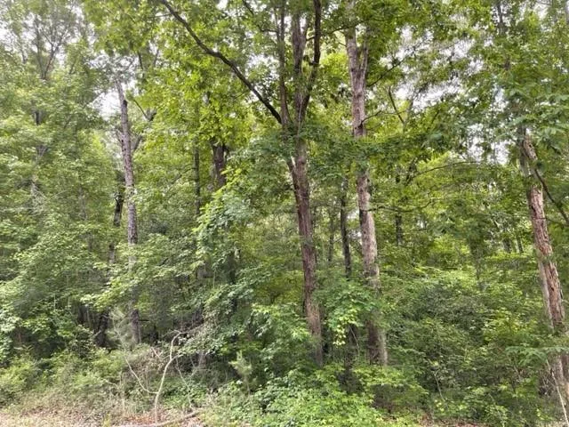 Wooded Lot