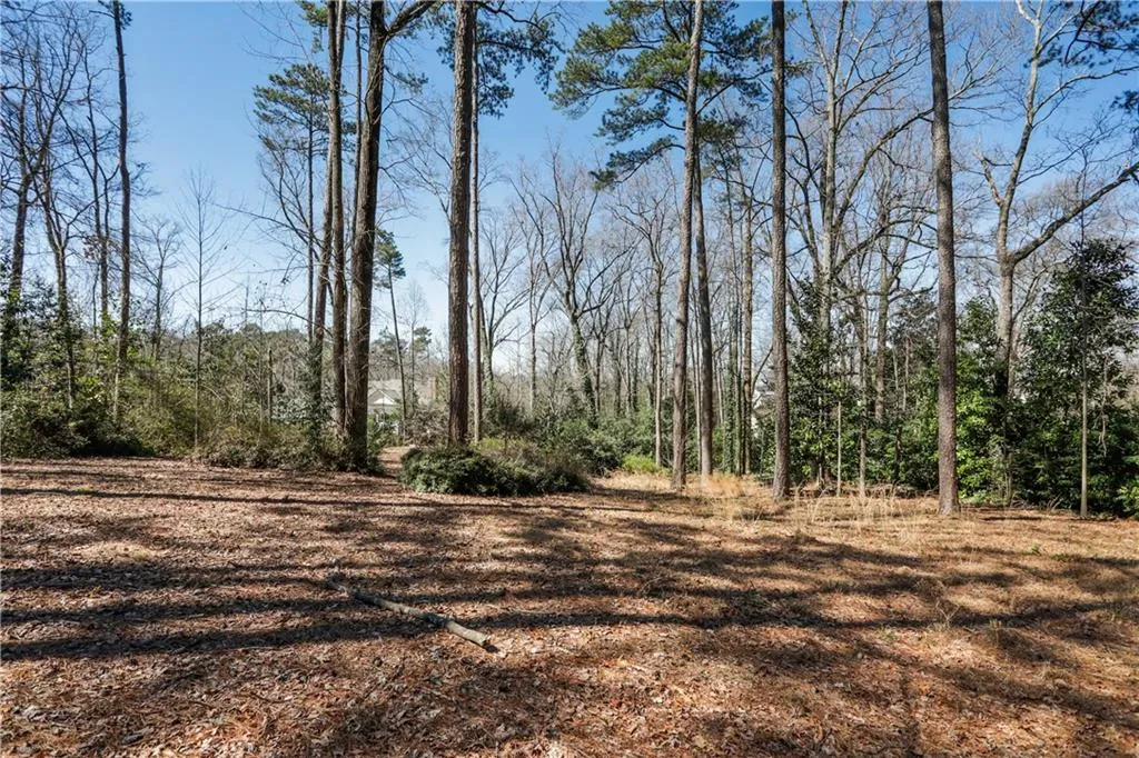 5066a Long Island Drive Nw, Sandy Springs, Georgia 30327, ,Land,Sold,5066a Long Island Drive Nw,6849791