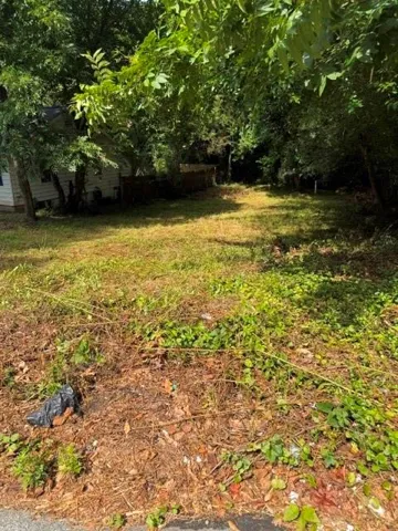 Expansive lot featuring mature trees and established perimeter foliage