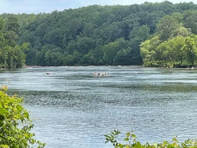 200 River Vista Drive Unit 542, Atlanta, Georgia 30339, 2 Bedrooms Bedrooms, ,2 BathroomsBathrooms,Residential,Sold,200 River Vista Drive Unit 542,7411382