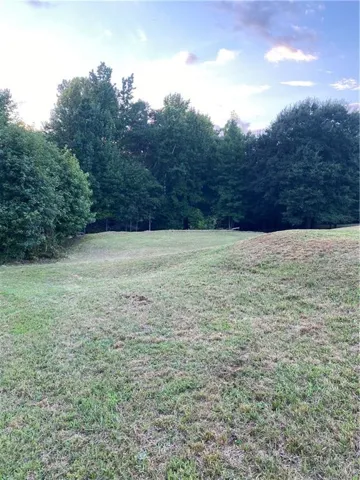 Expansive green space featuring mature trees bordering the property