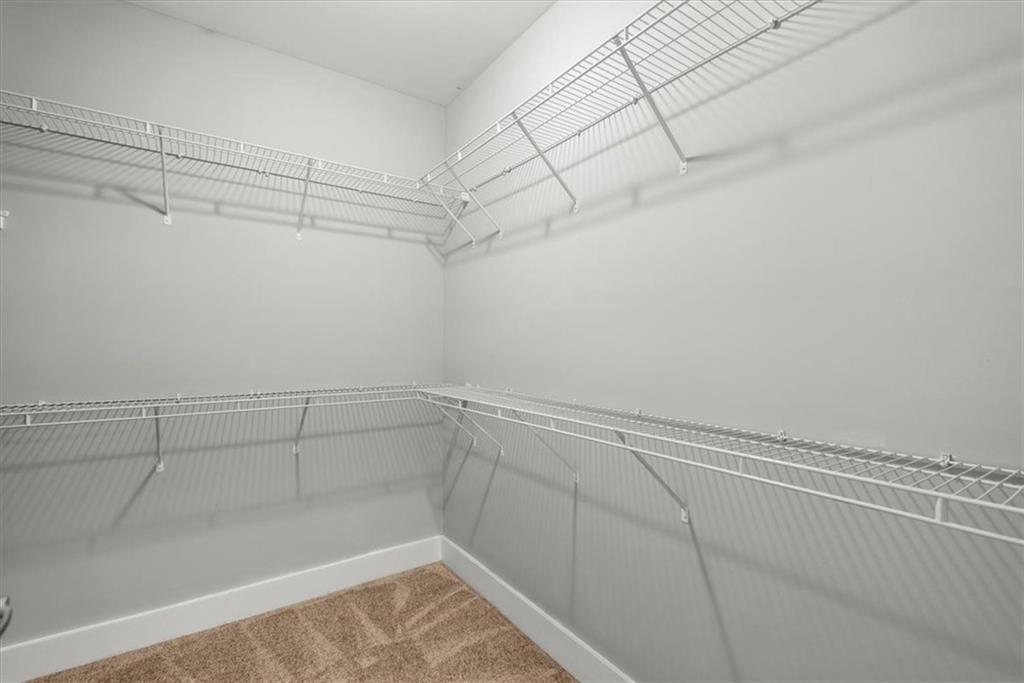 Spacious closet featuring carpet flooring