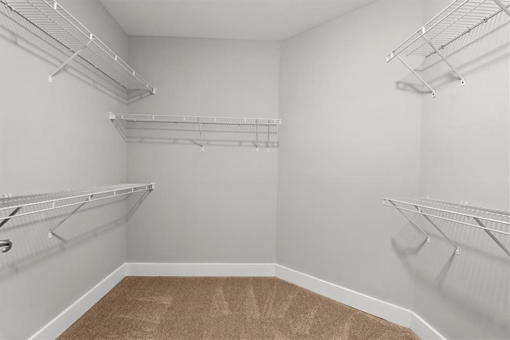 Walk in closet featuring carpet