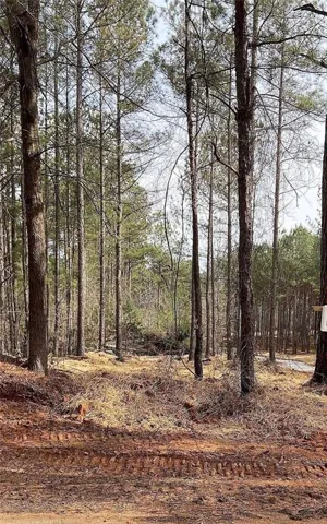 Lot 4 Jaxon Path, Dallas, Georgia 30157
