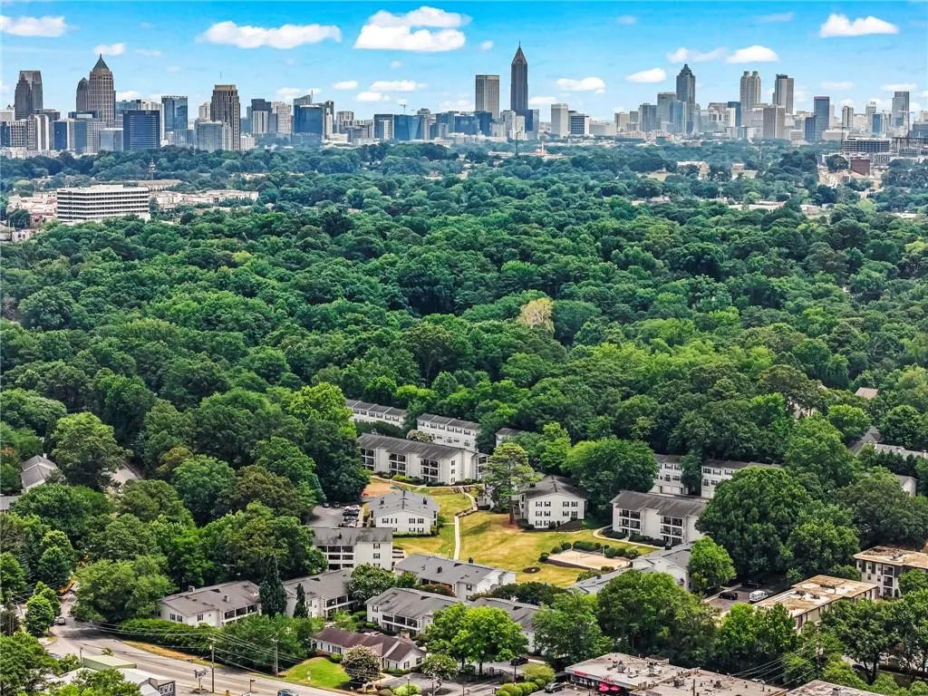 Drone / aerial view of skyline