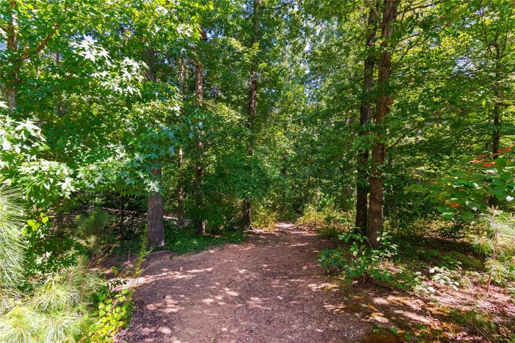 Trail
