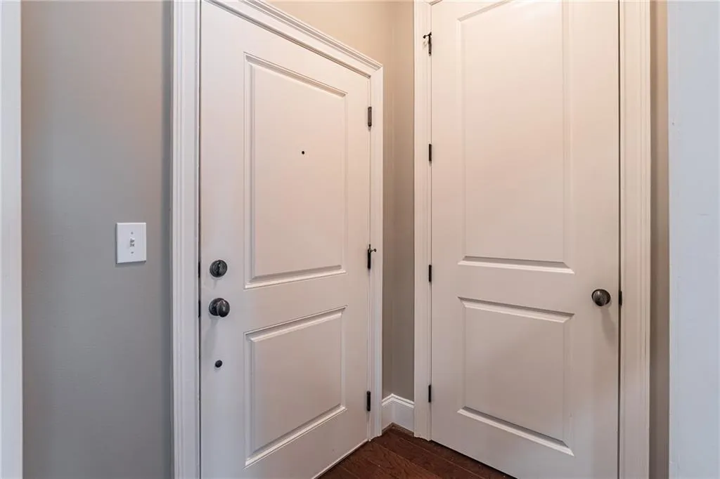 Entryway featuring a paneled door with dark hardware, wood-finish flooring, and light gray wall paint