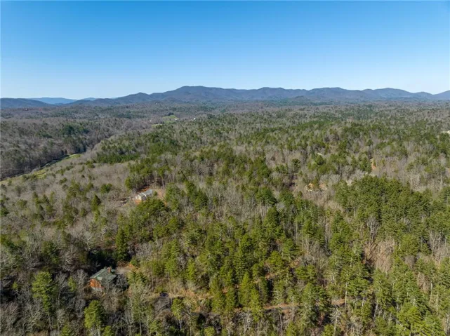 0 Coatopa Court, Ellijay, Georgia 30540