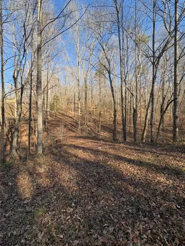 View of local wilderness