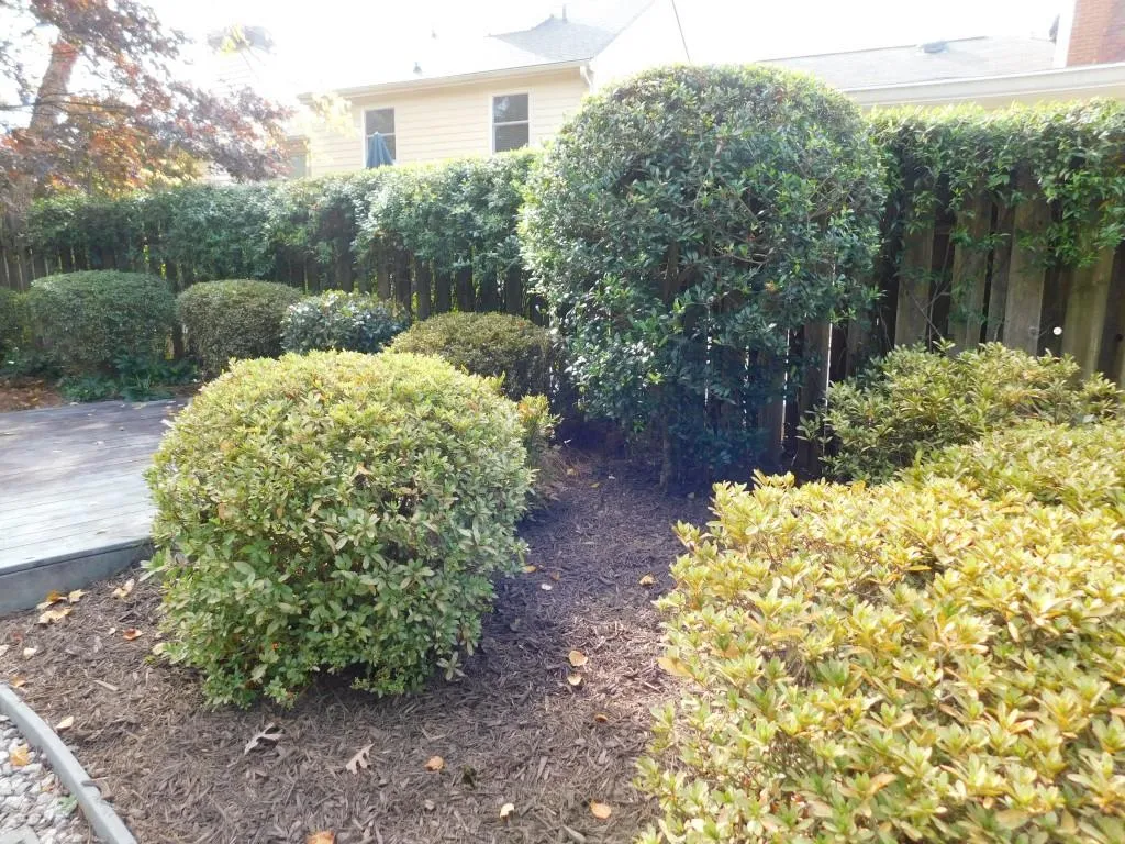 340 Forestgate Court, Sandy Springs, Georgia 30350, 2 Bedrooms Bedrooms, ,2 BathroomsBathrooms,Residential,Sold,340 Forestgate Court,7138362