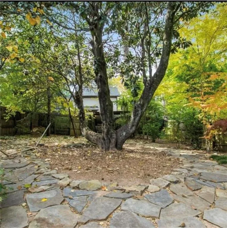 View of tree filled area