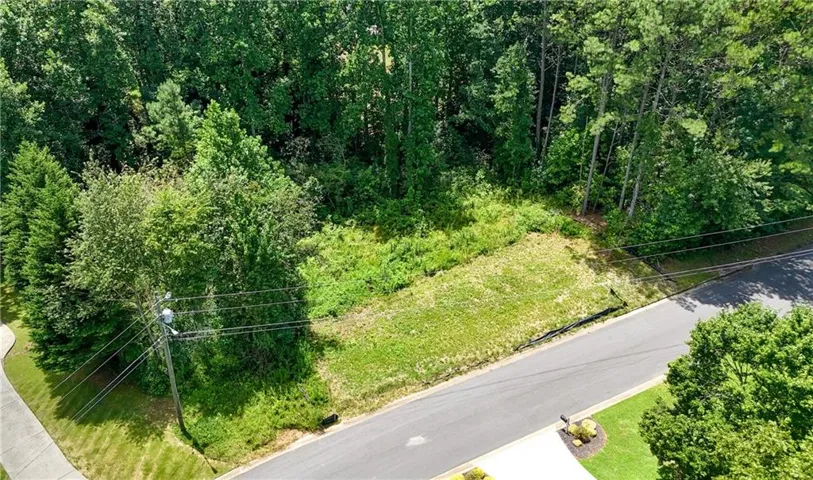 Expansive lot featuring a cleared building envelope, mature perimeter trees, and direct asphalt street frontage
