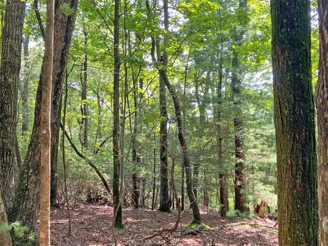 11ac T S Jarrard Road, Dahlonega, Georgia 30533