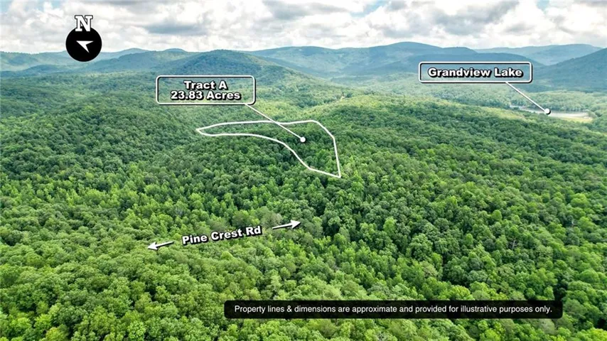 Aerial view with a forest view and a mountain view