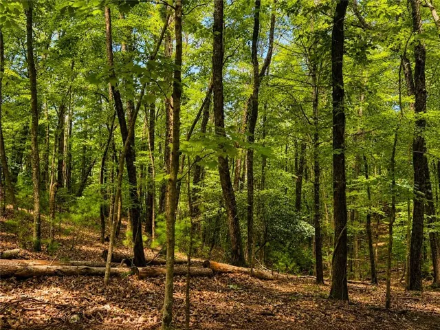 Dense wooded lot featuring mature trees and a sloped terrain