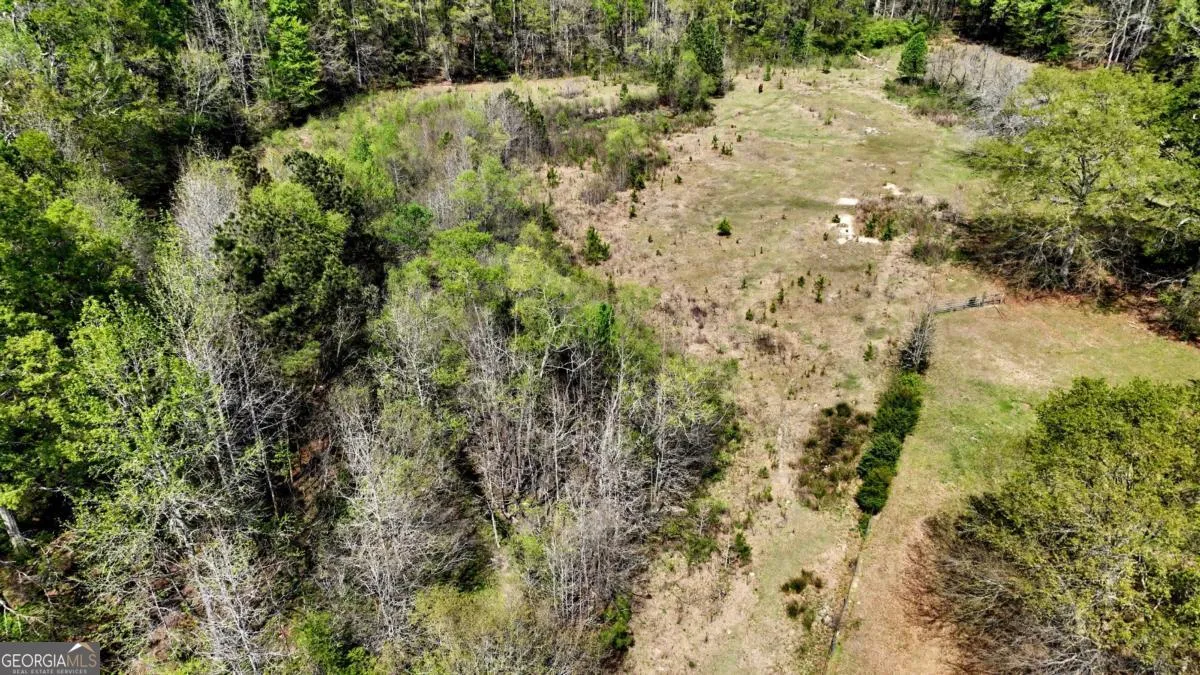 Commercial Sale For Sale