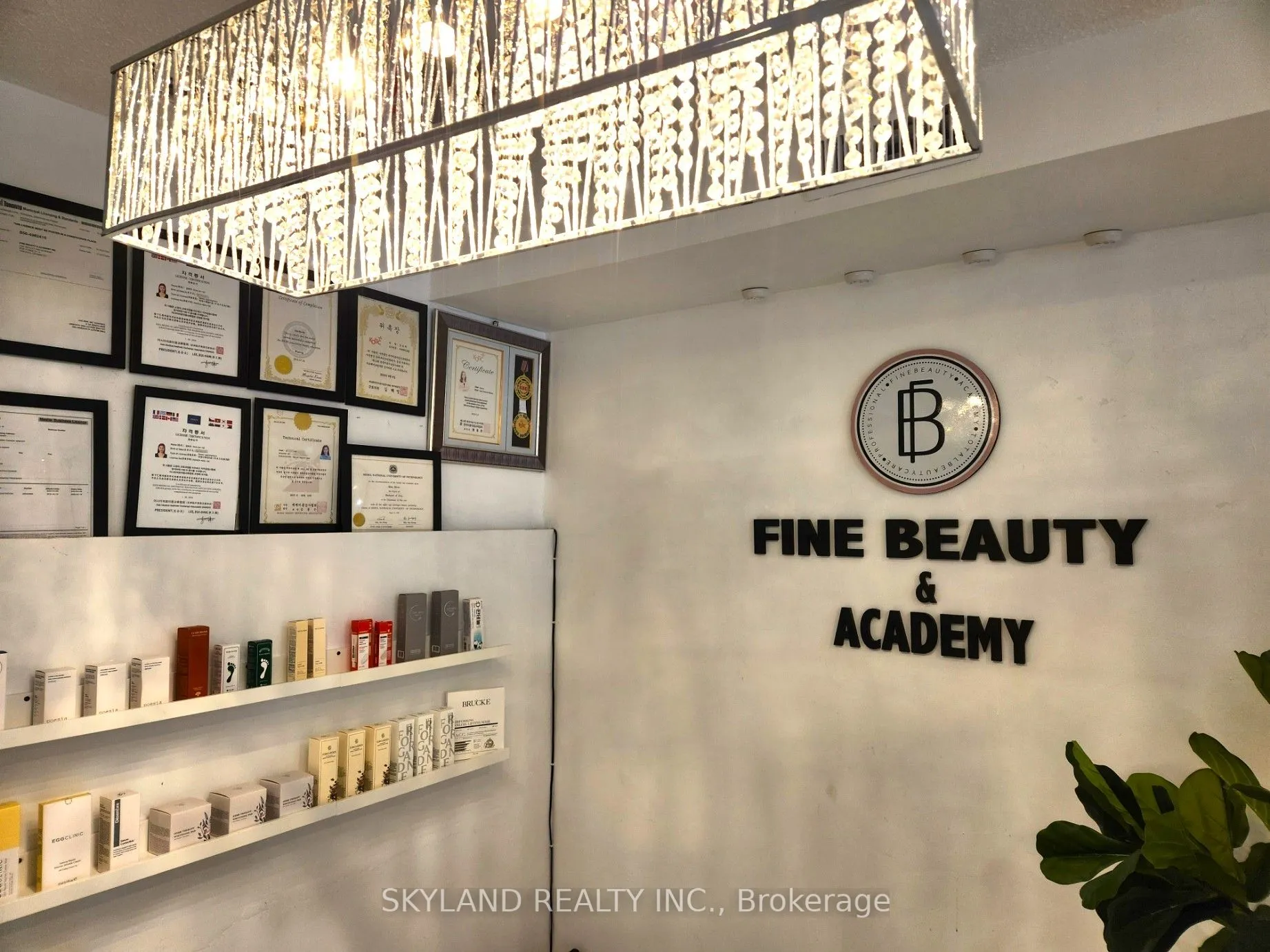 Business For Sale | C12674784