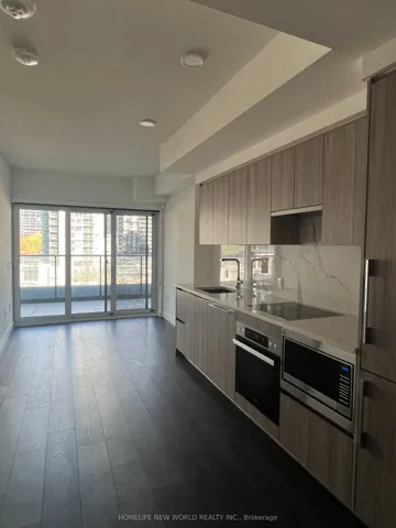 Kitchen / Living / Dining