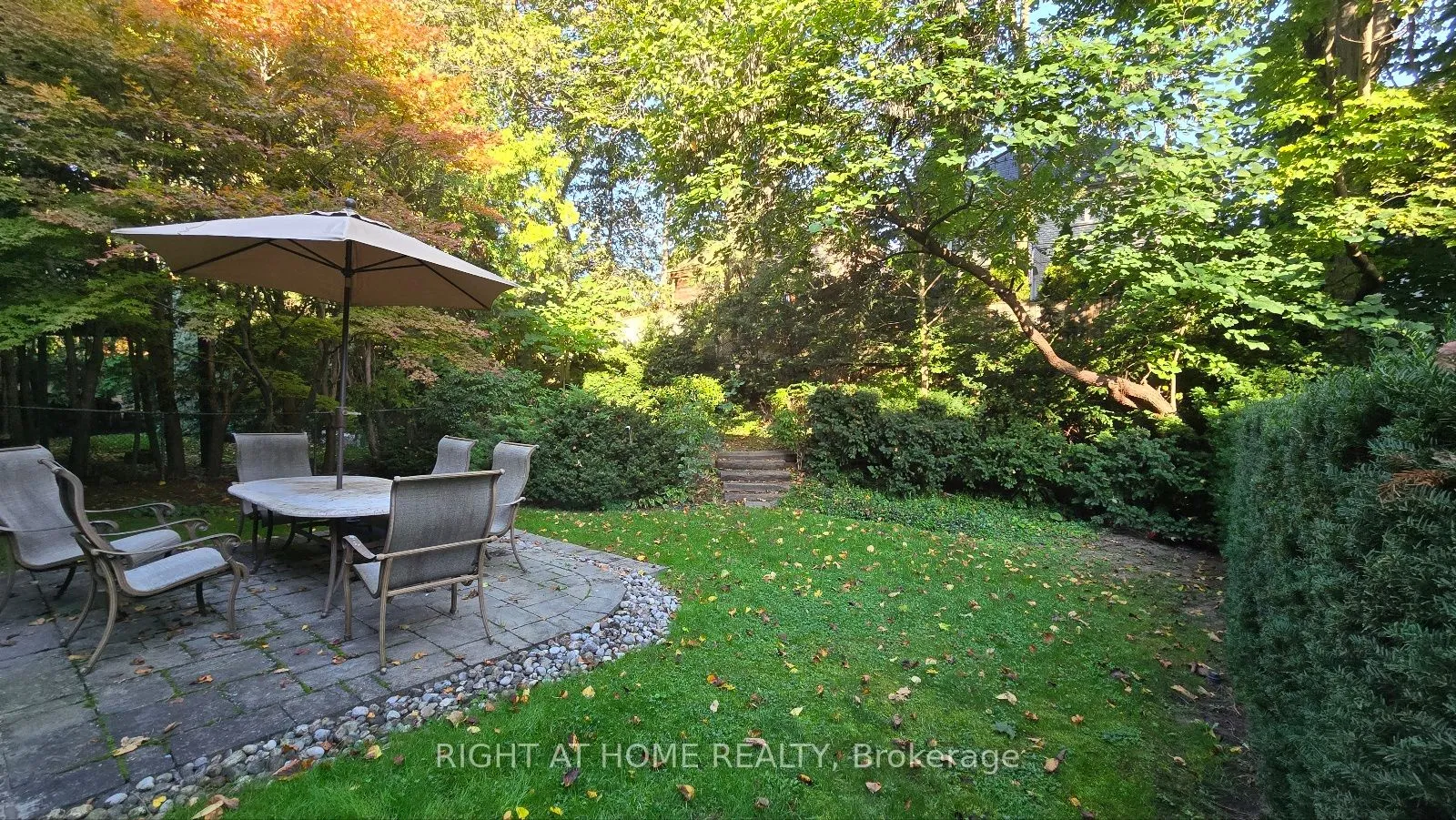 Detached Home For Sale | C12932516