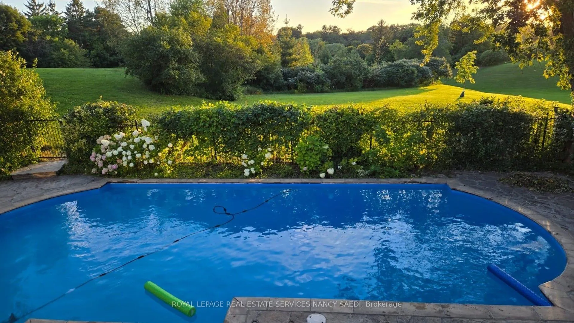 Detached Home For Sale | C12963258