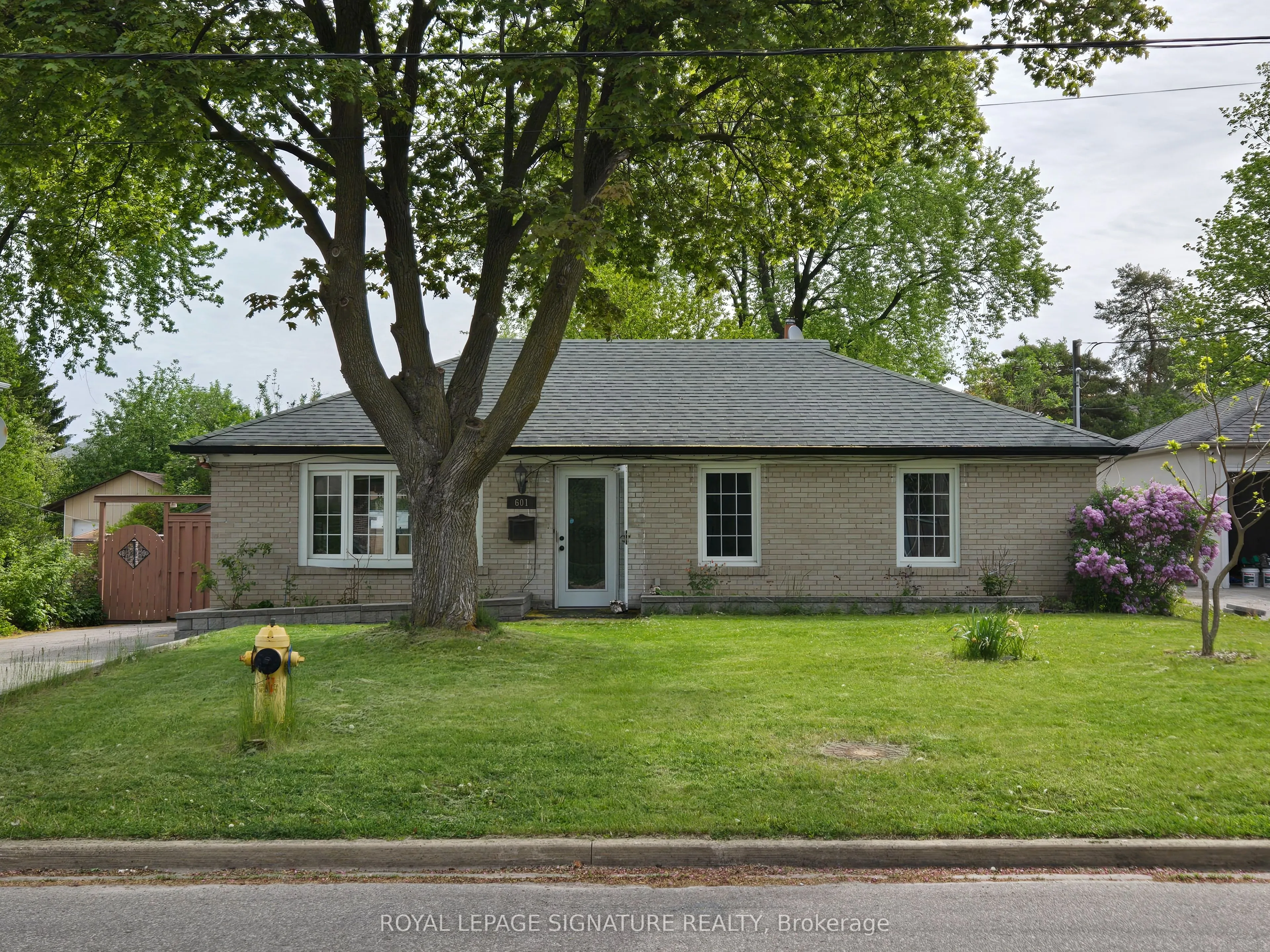 Detached Home For Sale | C12967214