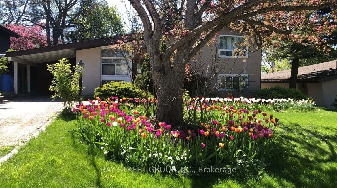 Detached Home For Lease | C13045784