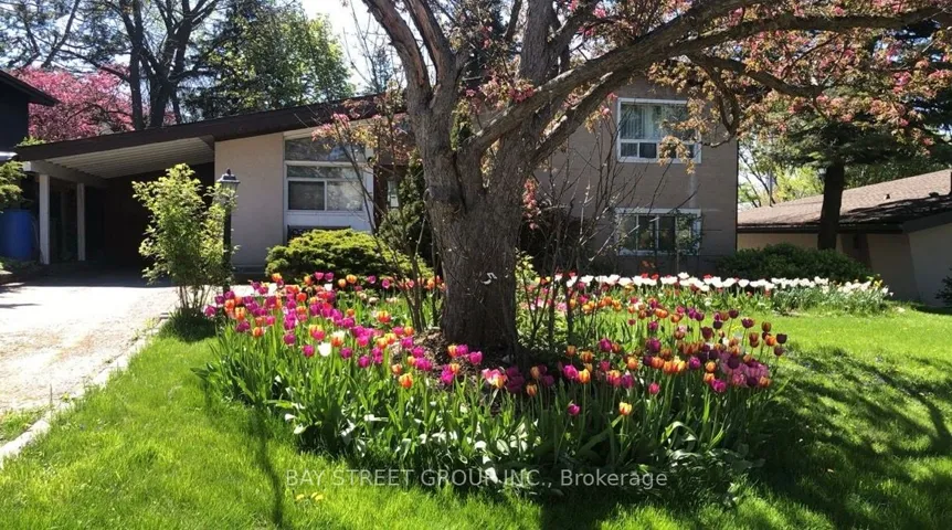 5  Cottonwood  Drive, Toronto C13, ON M3C 2B3