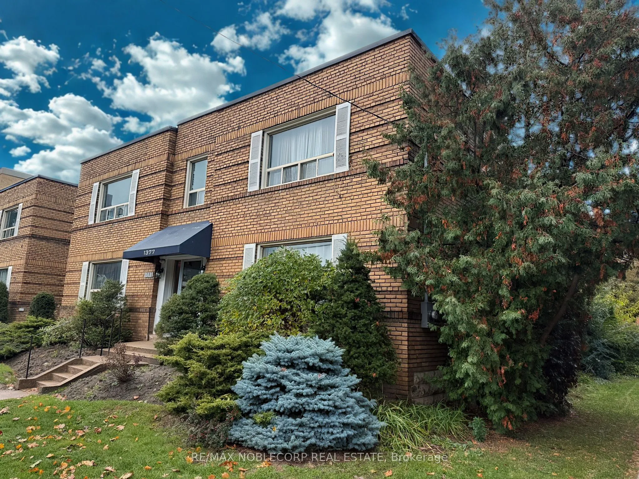 Multiplex For Lease | C13146658