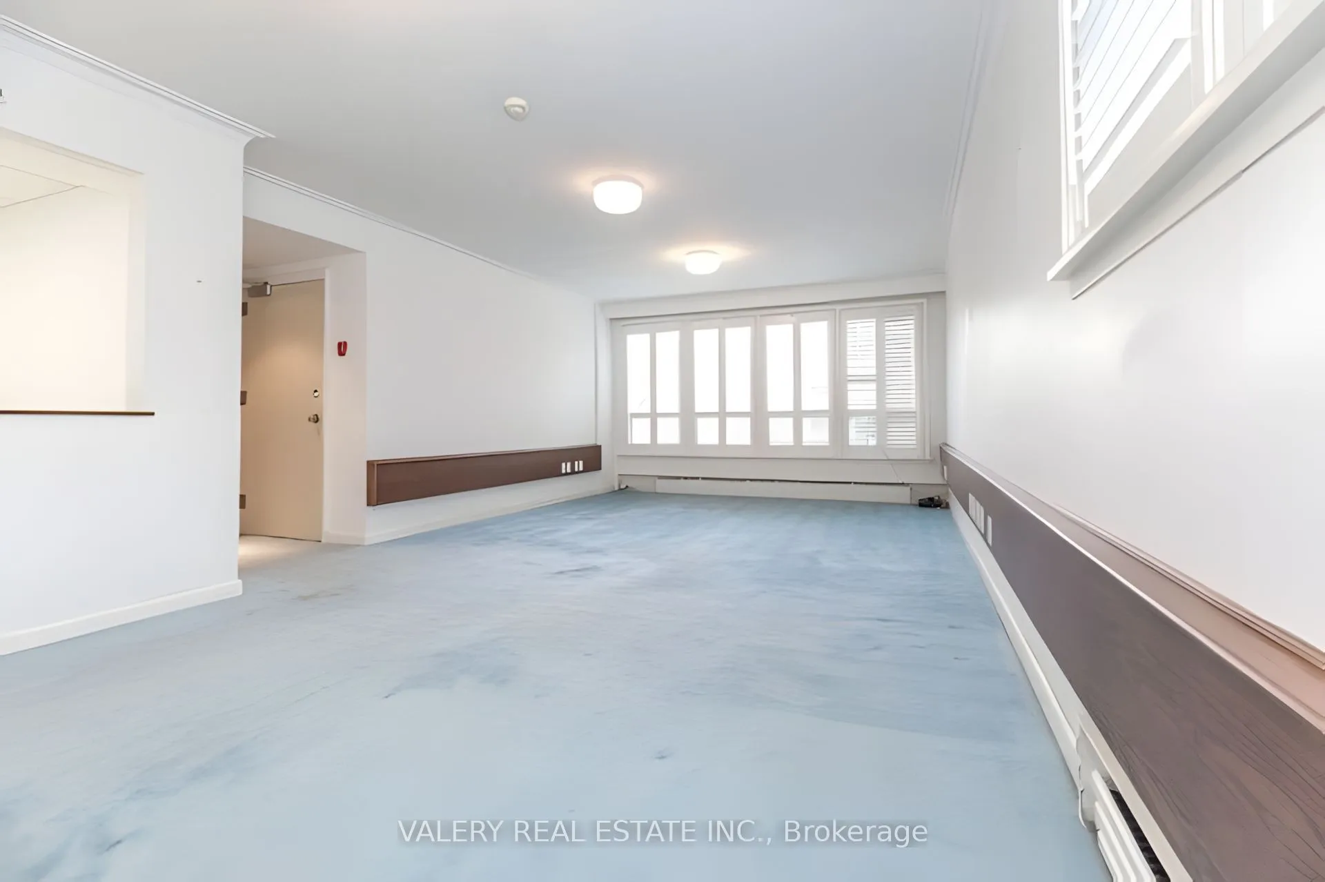 Multiplex For Lease | C13217316