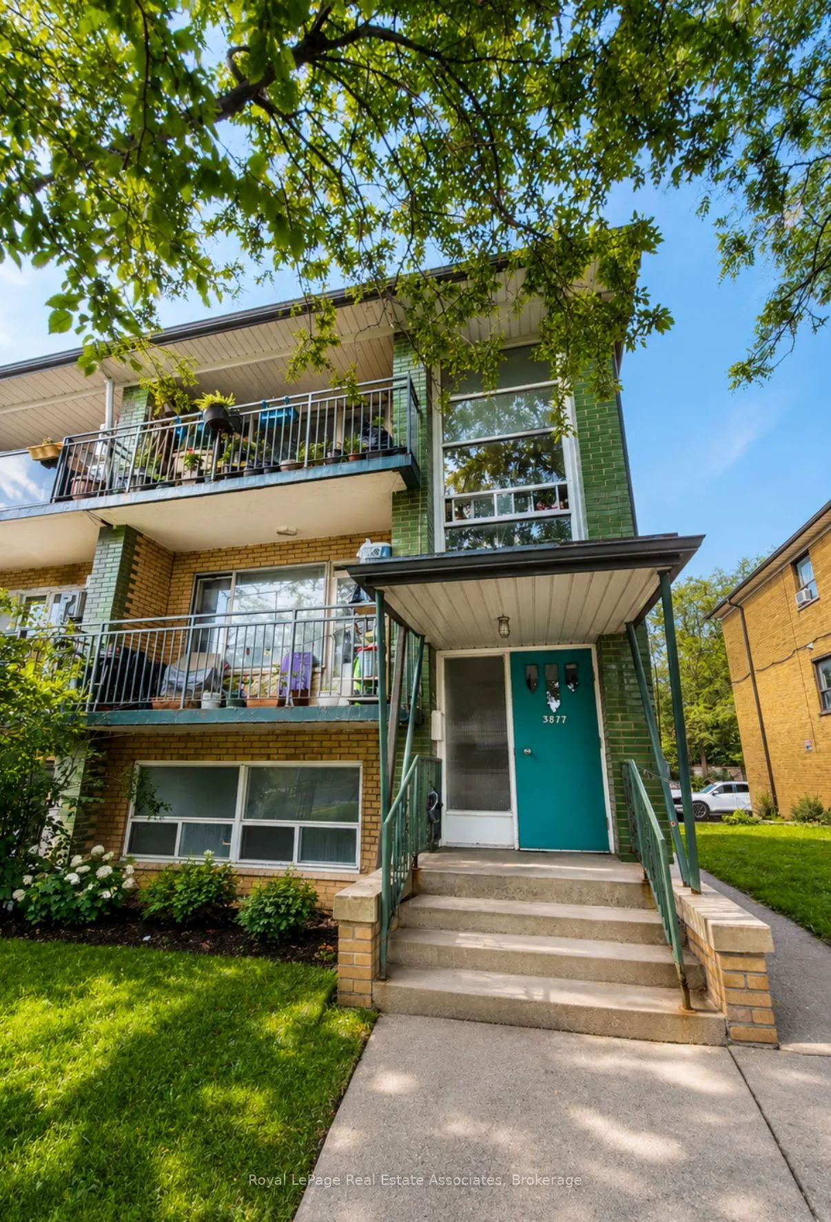 Multiplex For Lease | C13595070