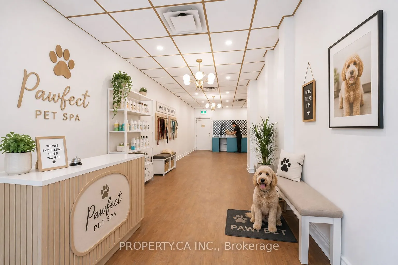Property For Lease | C13693116