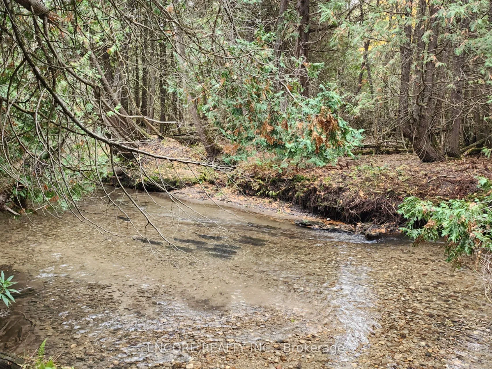 Vacant Land For Sale | E13225668