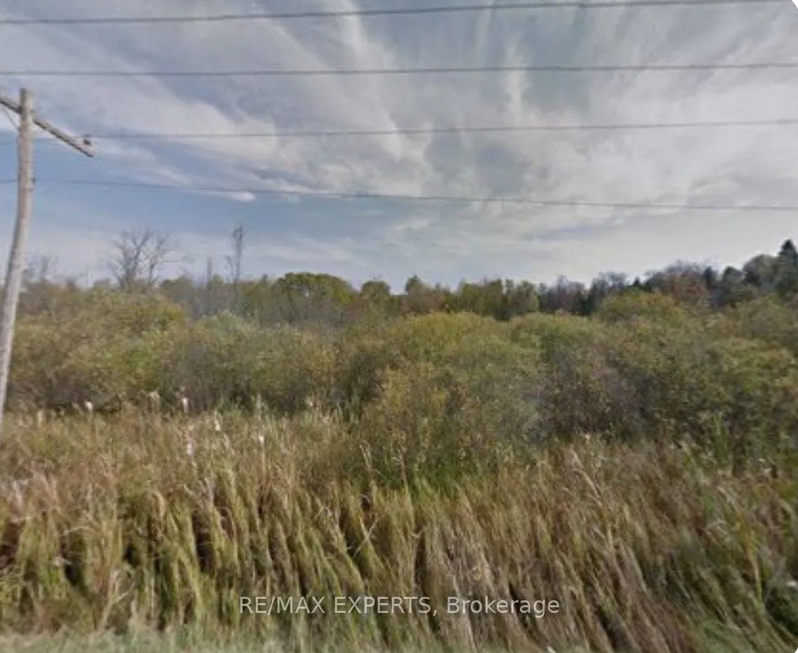 Vacant Land For Sale | N12521054